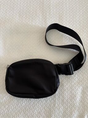 Quince Revive Nylon Black Belt Bag